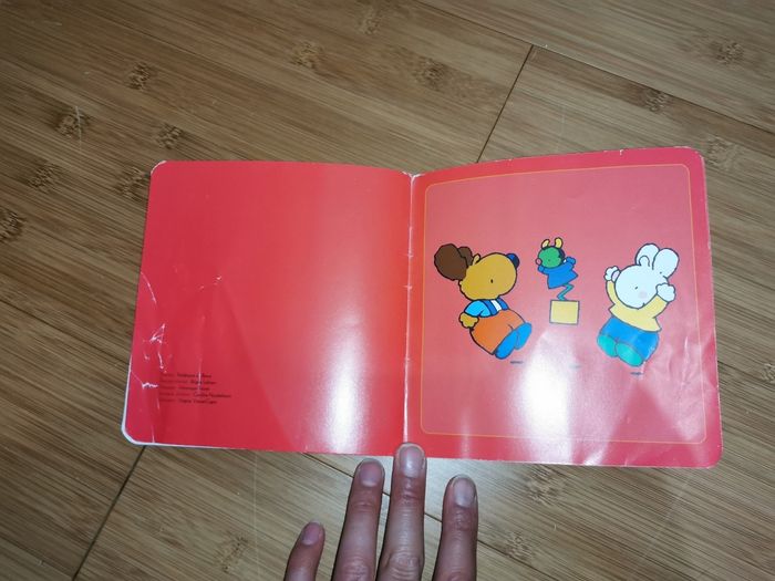 Petit Lapin Blanc est un coquin - photo numéro 8