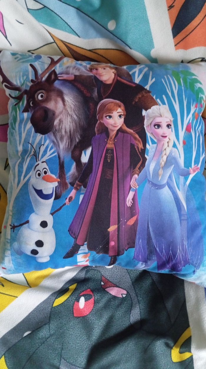 Coussin reine des neiges