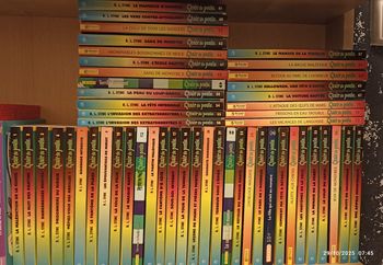 Livres Chair de Poule 2€ l'unité