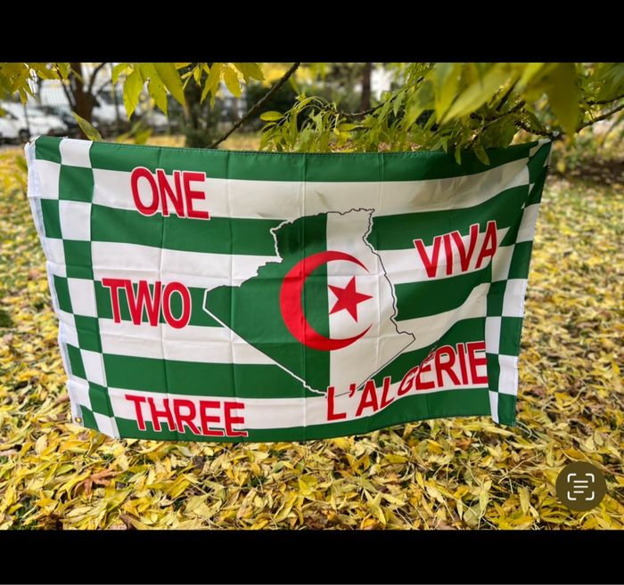 Drapeaux Algérie - photo numéro 2