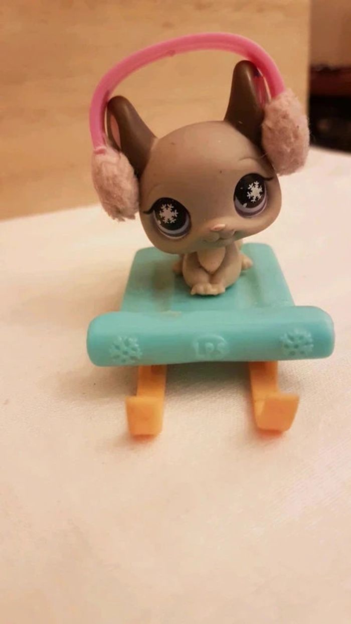 Chinchilla petshop aimanté et sa luge