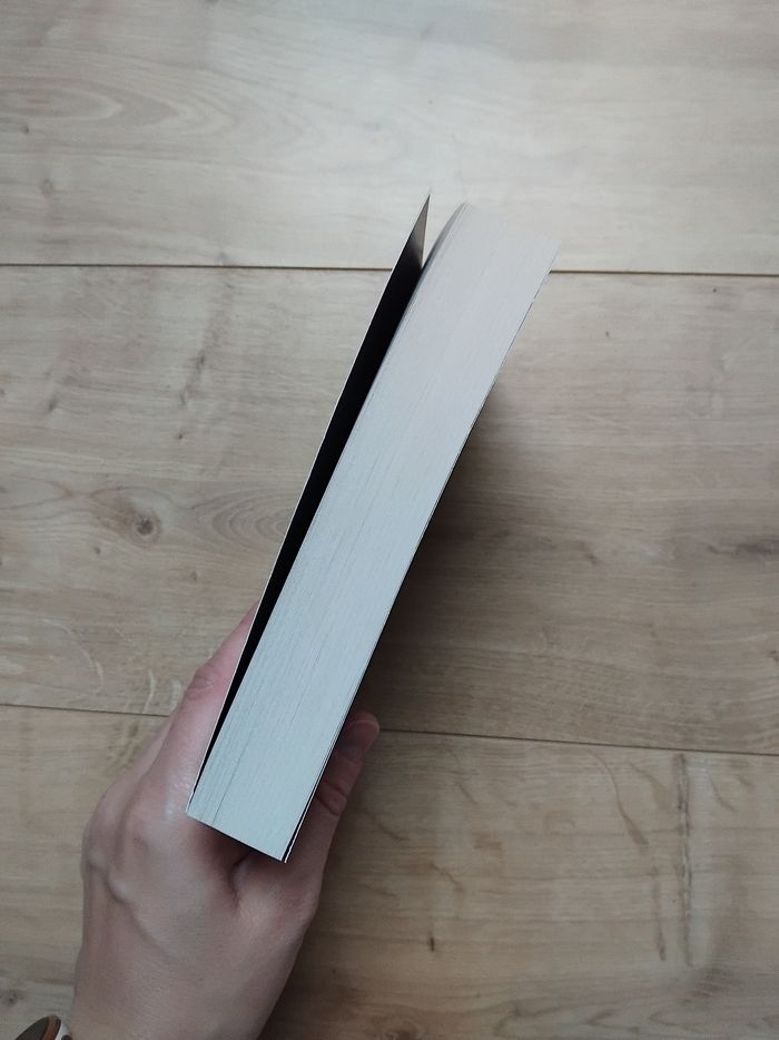 Livre romance Rival - photo numéro 4