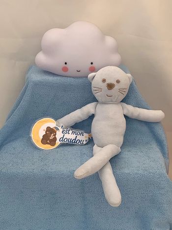 BC09doudou chat bout’chou