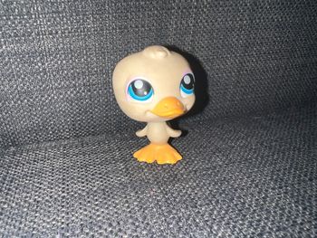 Pet shop canard #108