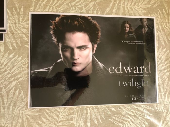 Lot affiches twilight - photo numéro 2