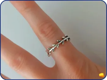 Bague en acier inoxydable