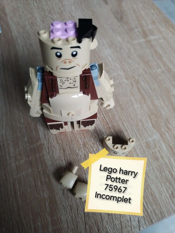 Lego harry Potter 75967 incomplet divers piece