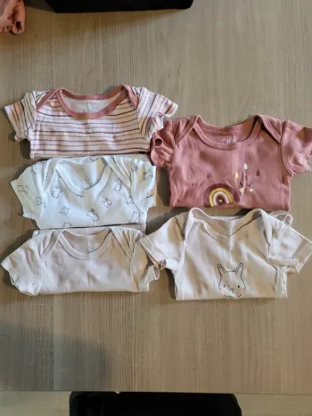 Lot 5 bodies manches courtes 18 mois