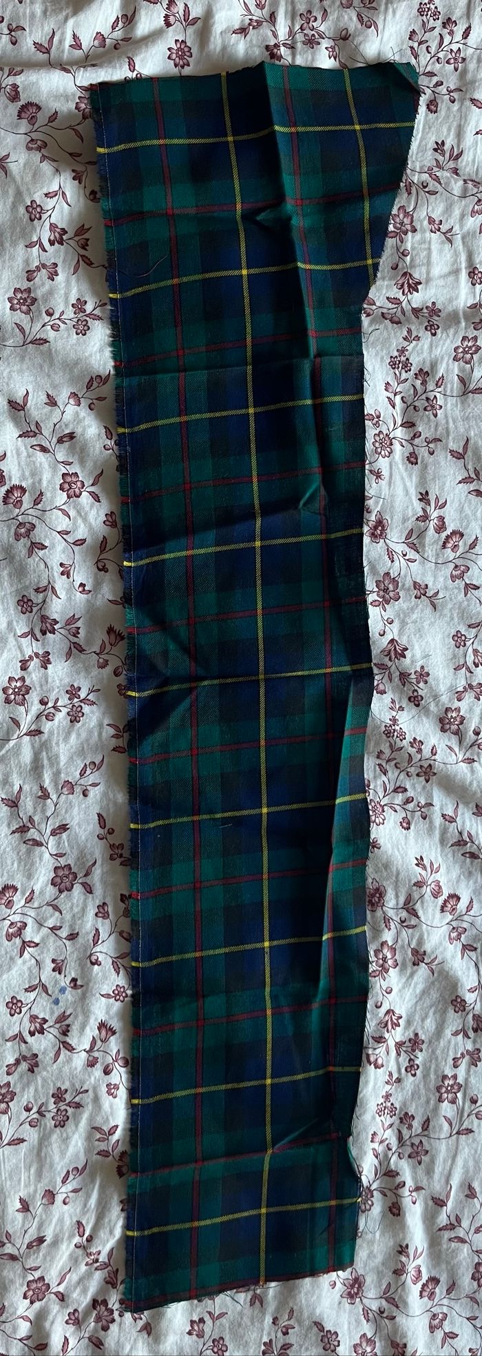 Chute de tissu écossais - photo numéro 3