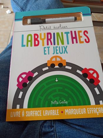 Livre labyrinthes et jeux