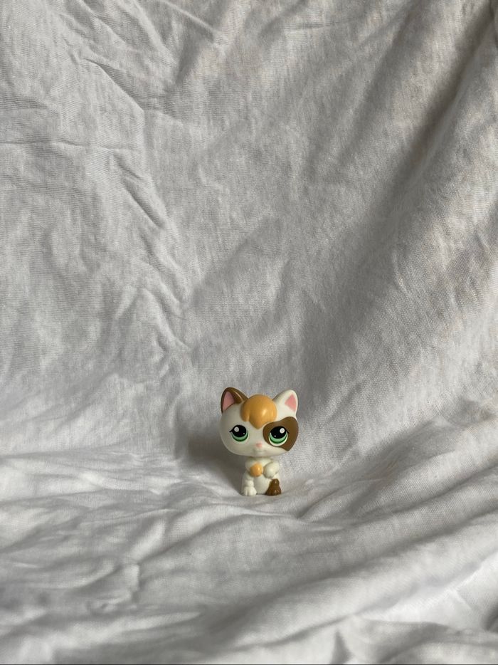 lps chaton