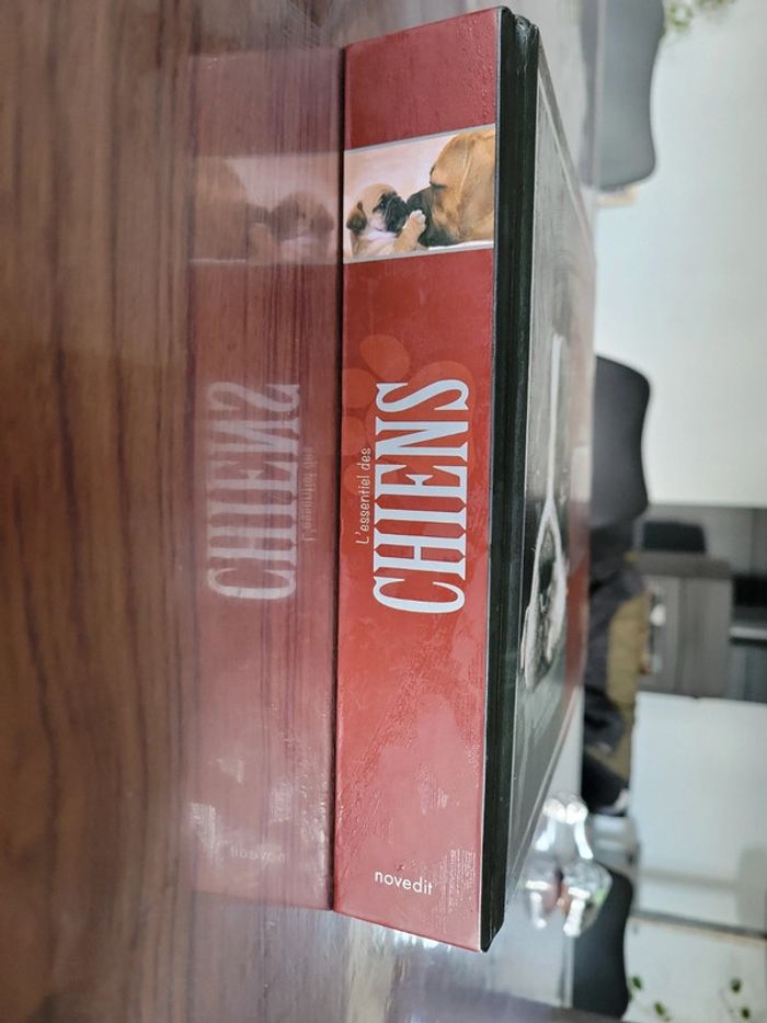 Livre sur les chiens - photo numéro 2
