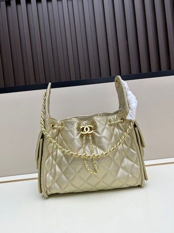 Chanel  25bag