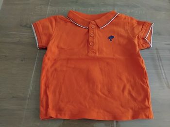 Polo TAO