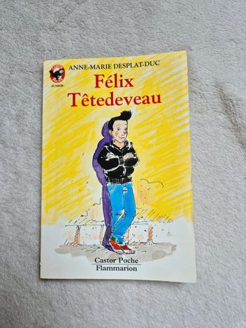 Livre Félix têtedeveau