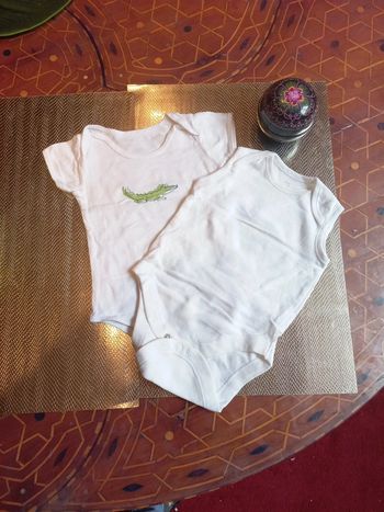 LOT 2 Bodys mixte 0 a 3 mois