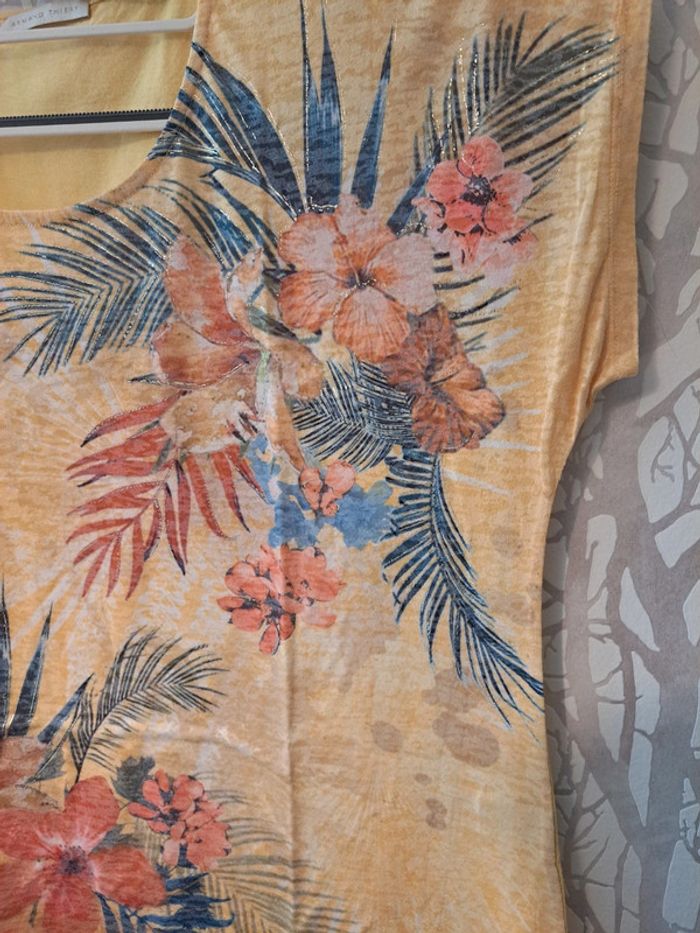 Haut Armand thiery T.5 - photo numéro 2