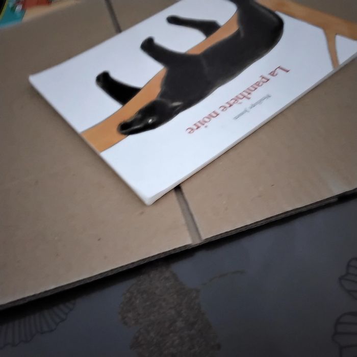 La panthère noire Pénélope Jossen - photo numéro 2