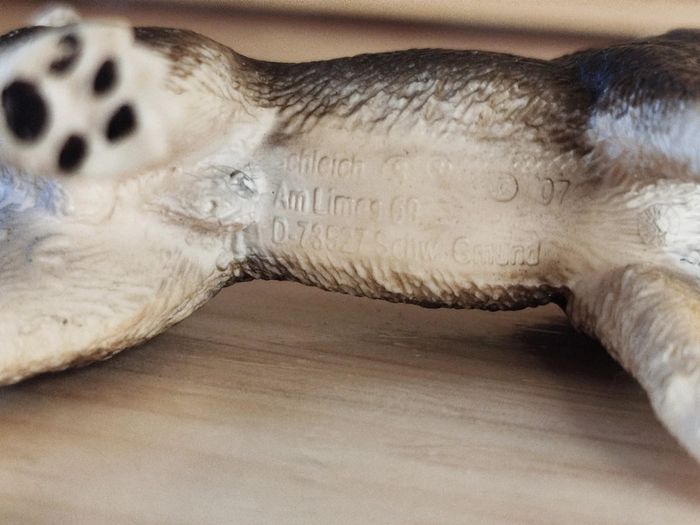 Schleich chien husky Figurine Animal domestique - photo numéro 4