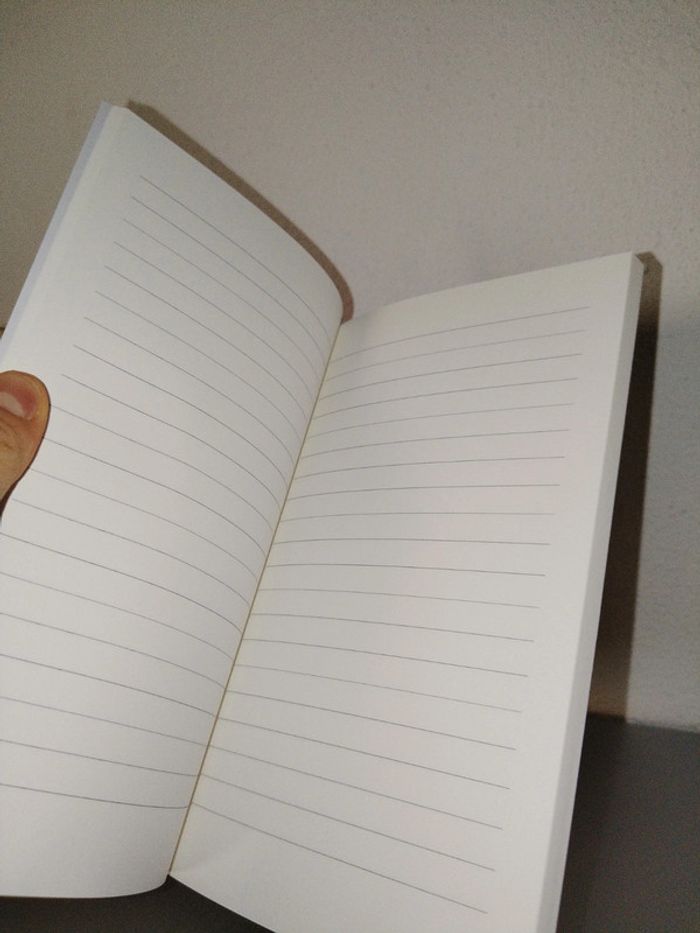 Journal de bord avec lignes 150 pages - photo numéro 2