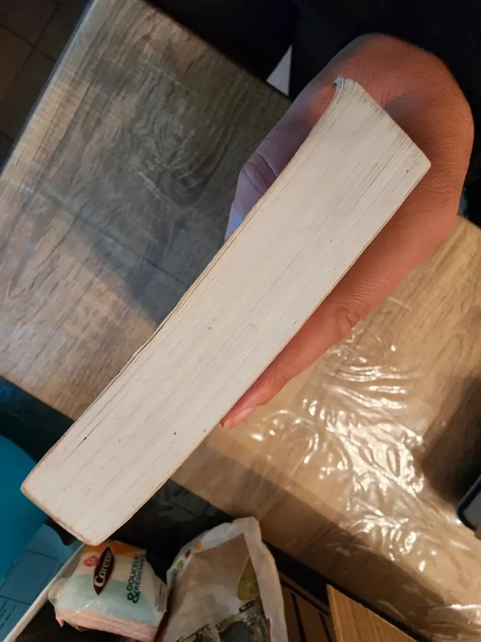 Dictionnaire de la mythologie grecque et romaine - Références Larousse - photo numéro 6