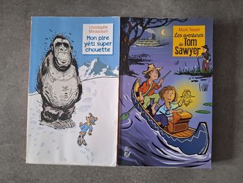 Lot 2 romans enfants