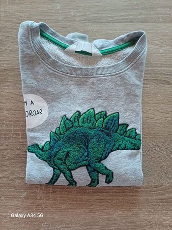 Pull dinosaure