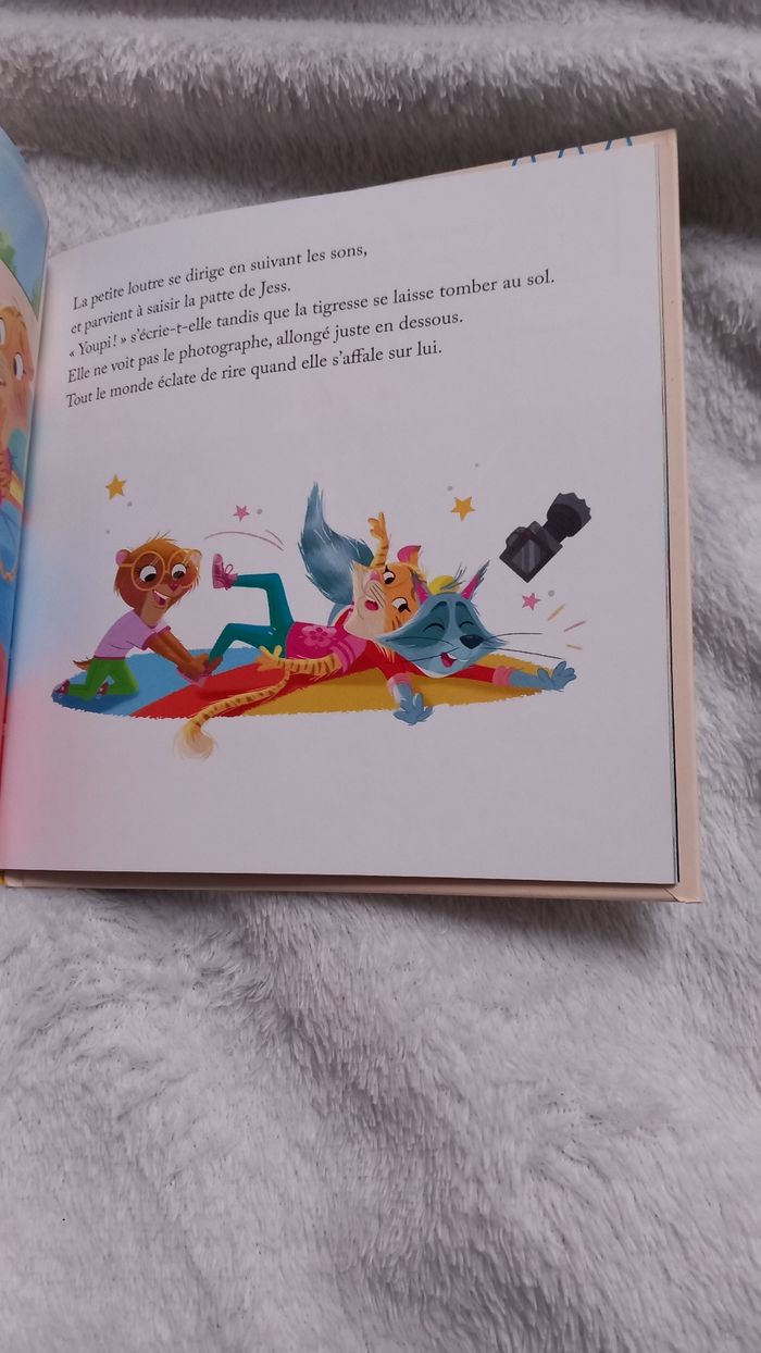 Livre - photo numéro 2