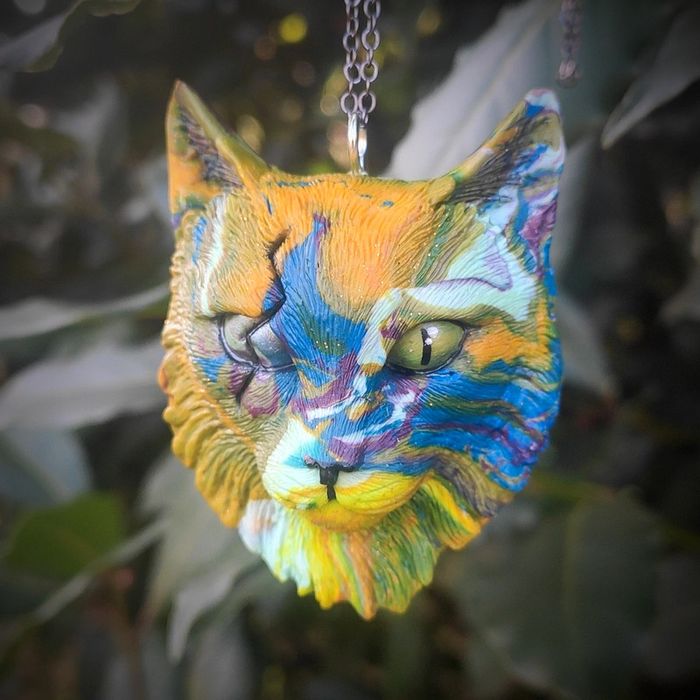 Tête de chat borgne - photo numéro 5