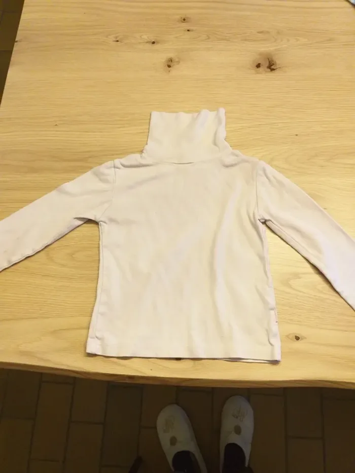 Pull à caule roulé