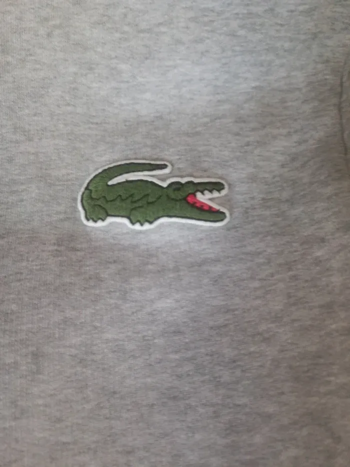 Sweat-shirt capuche Lacoste - photo numéro 3