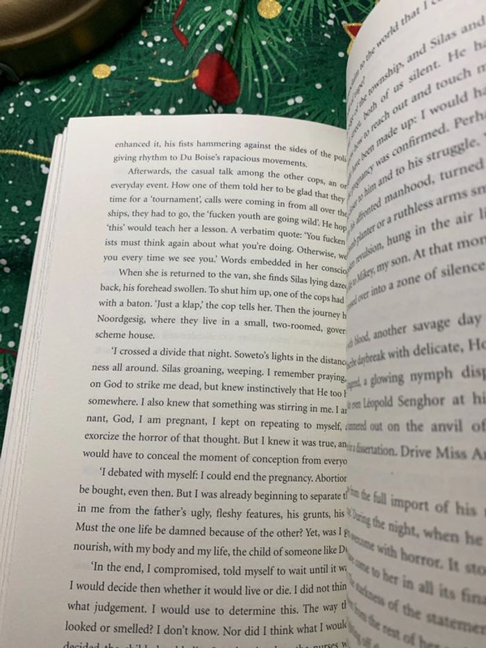 Bitter fruit - photo numéro 7