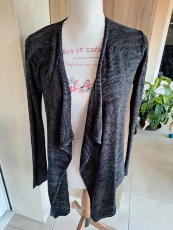 Gilet gris