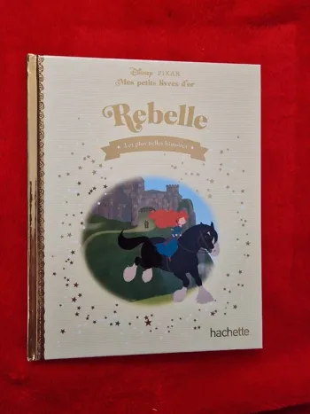 Livre 31 mes petits livres d'or Disney rebelle