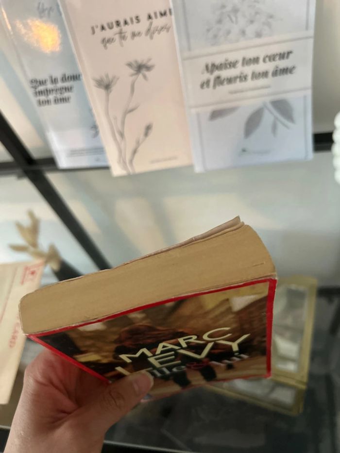 Livre de Marc Levy Elle et lui - photo numéro 5