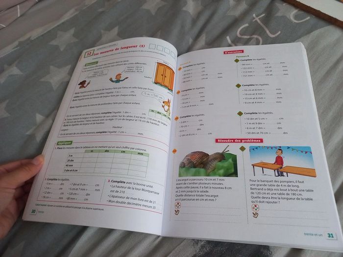 Fichier de mathématiques ce2 Litchi neuf - photo numéro 4