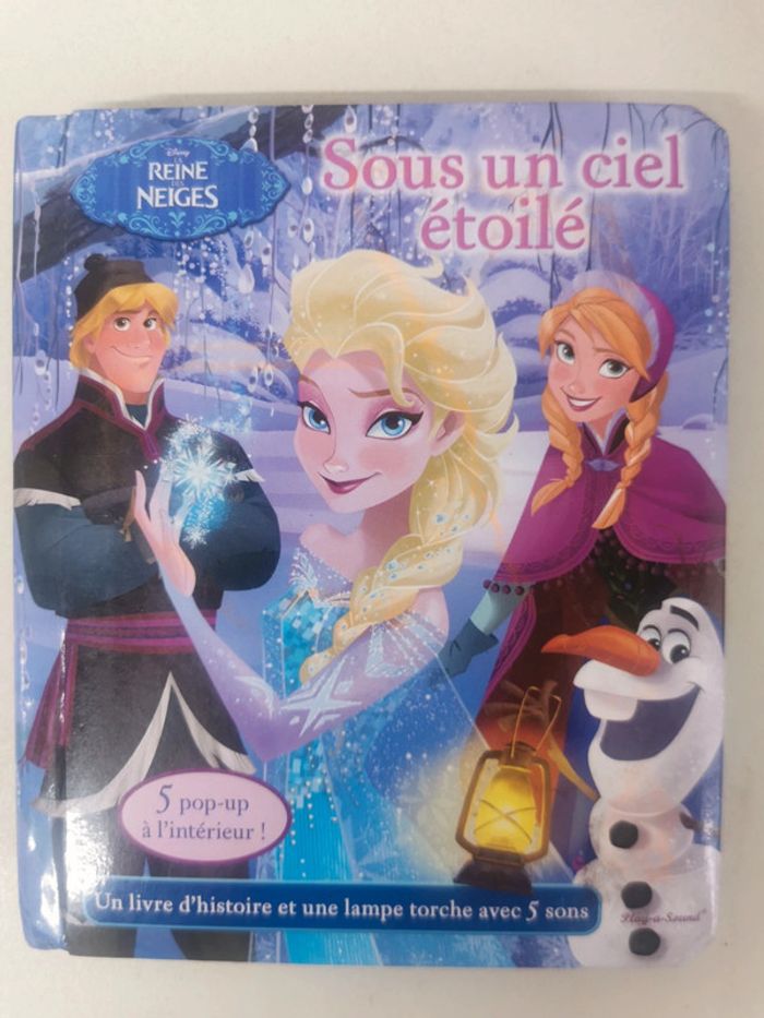 Livre reines des neiges