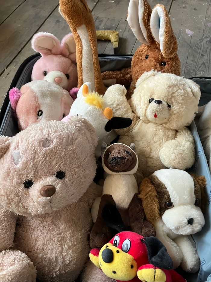 Lot peluches - photo numéro 2