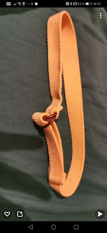 Ceinture jaune mixte
