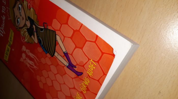 La vie moins compliquée de Maude M. Bérubée - photo numéro 4