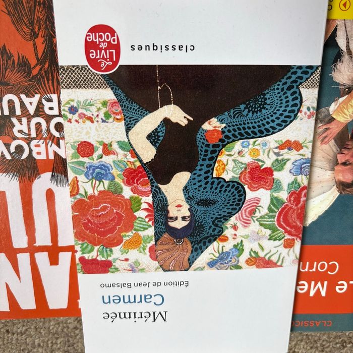 Lots de 7 livres pour le bac de français - photo numéro 8