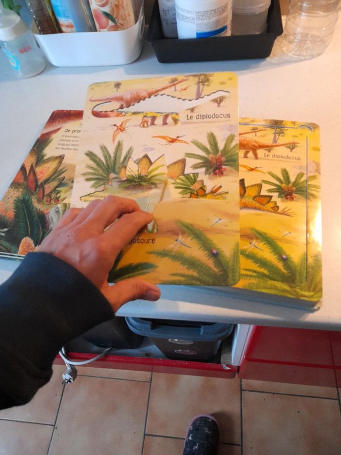 Livre pochoir - photo numéro 6