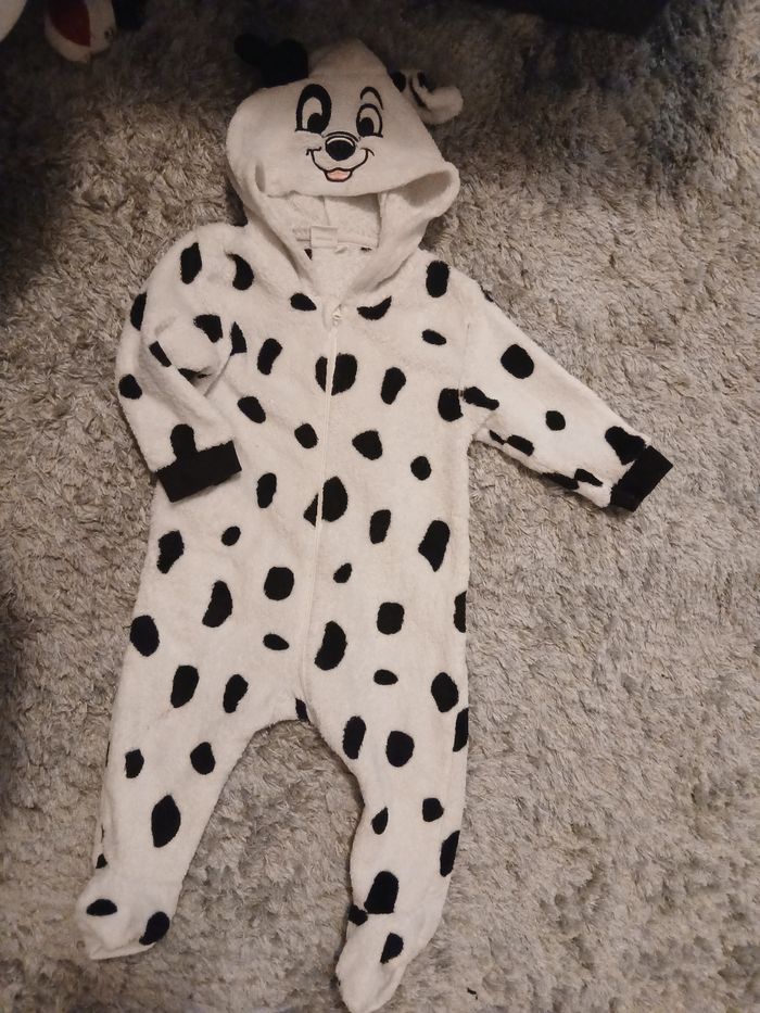 Ensemble dalmatien