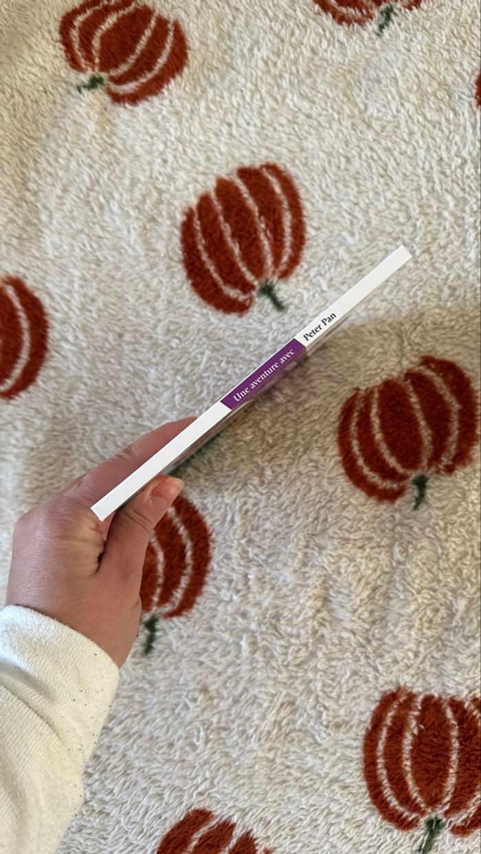 💜 livre une aventure avec Peter pan 💜 - photo numéro 4