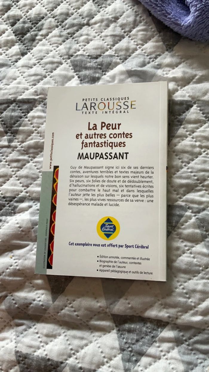 #la peur et autres contes fantastiques Maupassant - photo numéro 3