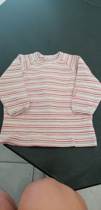 Tee shirt manches longues 6 mois sucre d'orge