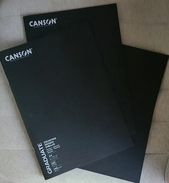 Lot de 3 carnets de dessin Canson Neuf