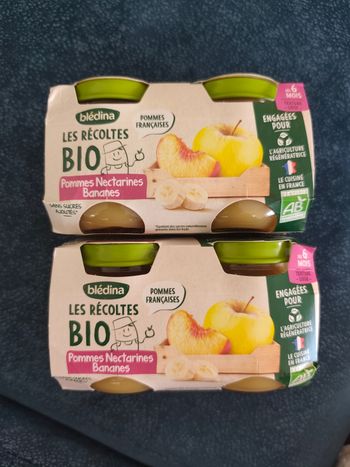Lot petit pot bledina bio
