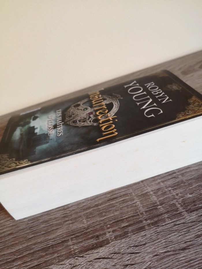 Livre histoire Moyen-âge Insurrection de Robyn Young - photo numéro 4