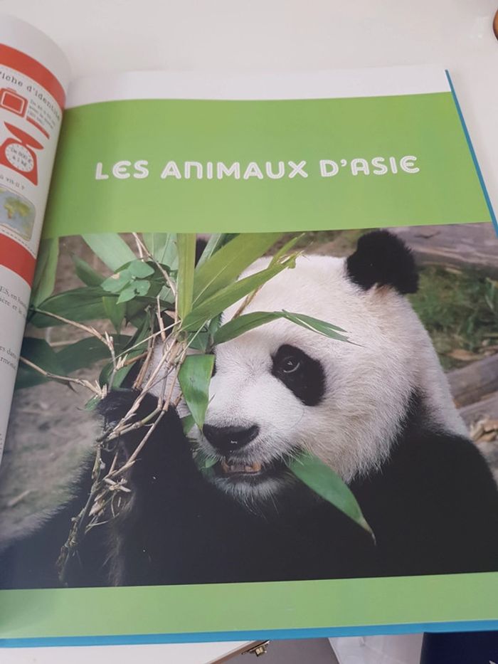 Mon très grand animalier du monde - photo numéro 5